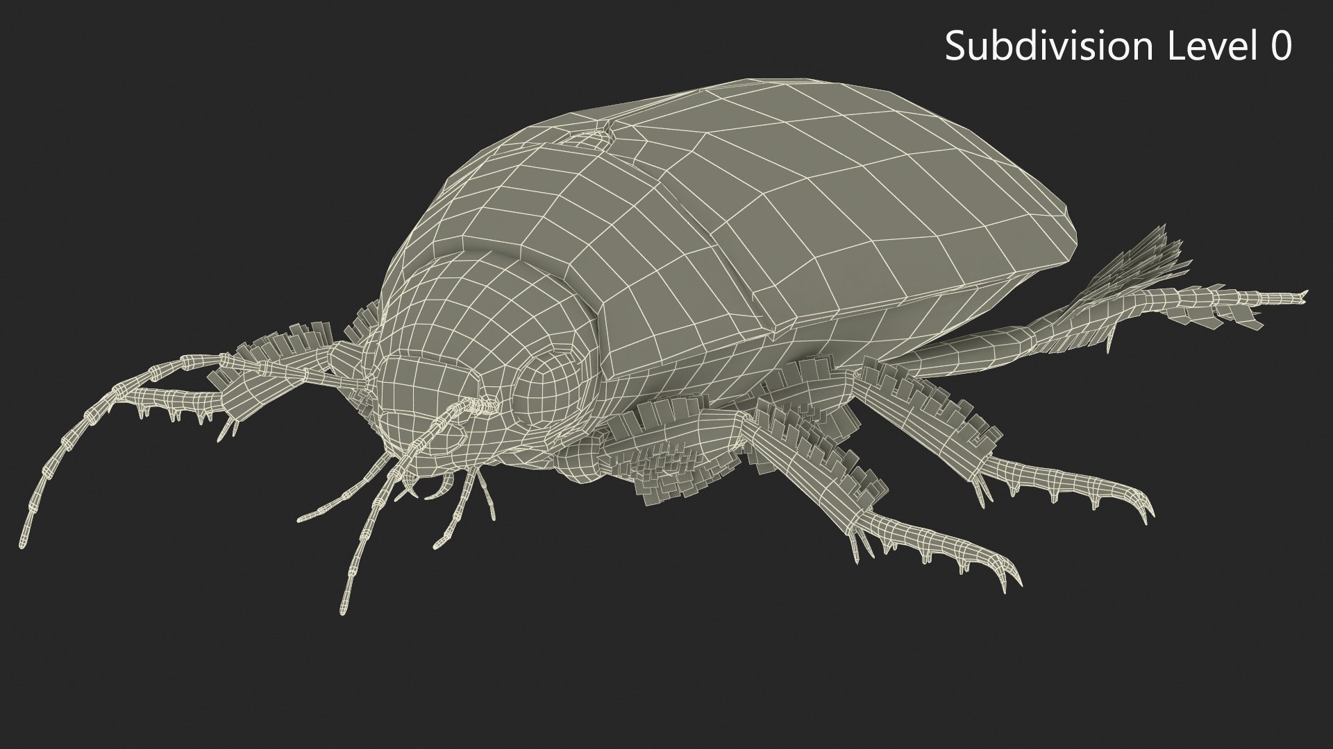 3D Water Beetle Brown https://p.turbosquid.com/ts-thumb/kE/jS5hMO/ob/waterbeetlebrown3dmodel025/jpg/1718270300/1920x1080/fit_q87/9e6f29832c18d09c3a887d6e5078df1c3199cbce/waterbeetlebrown3dmodel025.jpg