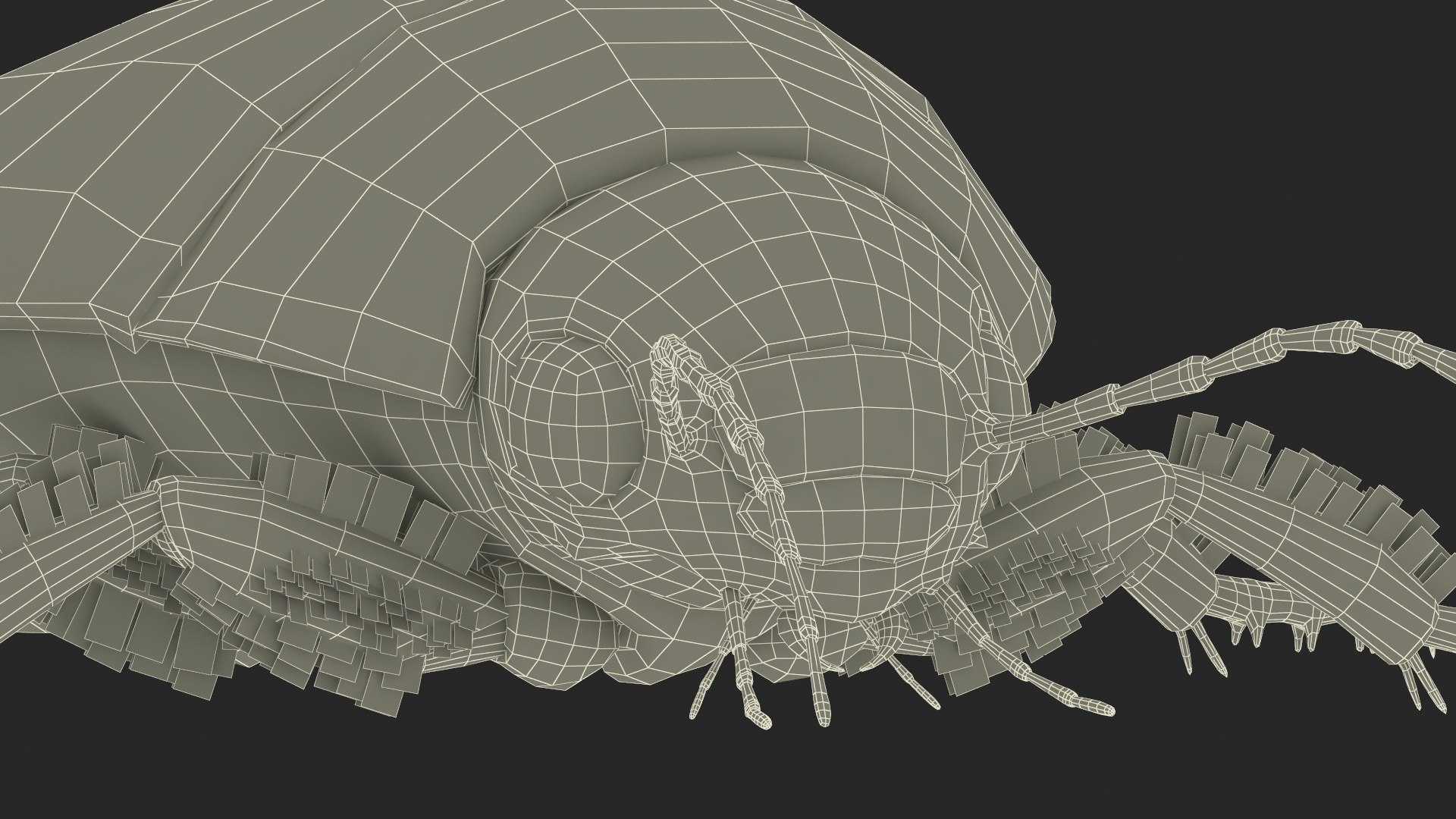 3D Water Beetle Brown https://p.turbosquid.com/ts-thumb/kE/jS5hMO/sd/waterbeetlebrown3dmodel037/jpg/1718270343/1920x1080/fit_q87/c559c0ba01a23bc16adf68f7d8c040152561e775/waterbeetlebrown3dmodel037.jpg