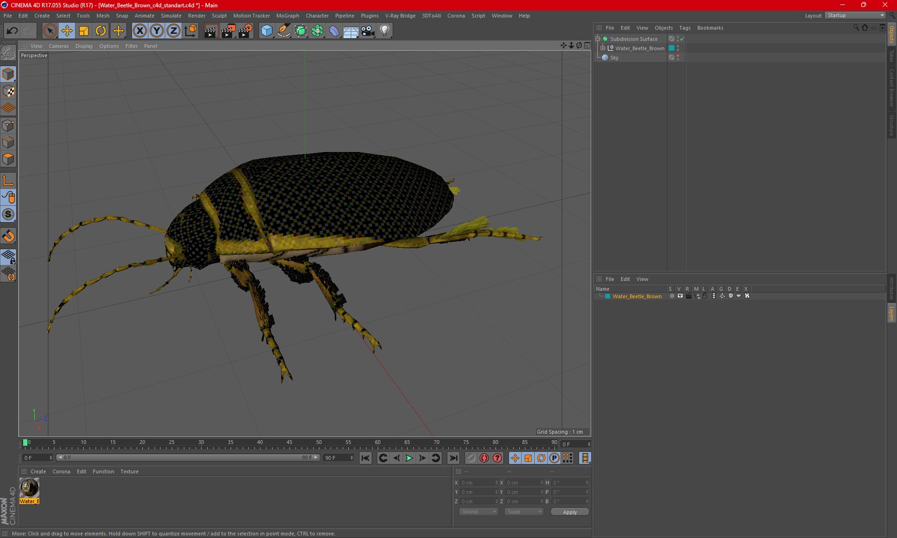 3D Water Beetle Brown https://p.turbosquid.com/ts-thumb/kE/jS5hMO/yZ/waterbeetlebrown3dmodel030/jpg/1718270318/1920x1080/fit_q87/ba7801b494e99765894384f9f535e23e4a612a5d/waterbeetlebrown3dmodel030.jpg