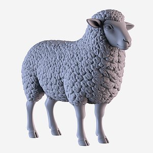Sheep