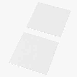 3D Business Cards Type 04 Straight Corner Basic Poses Blank and Generic