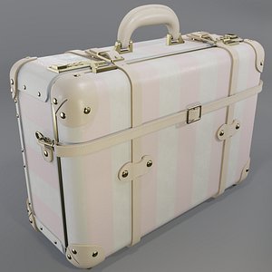 3D model Steamline Illustrator Pink Overnighter