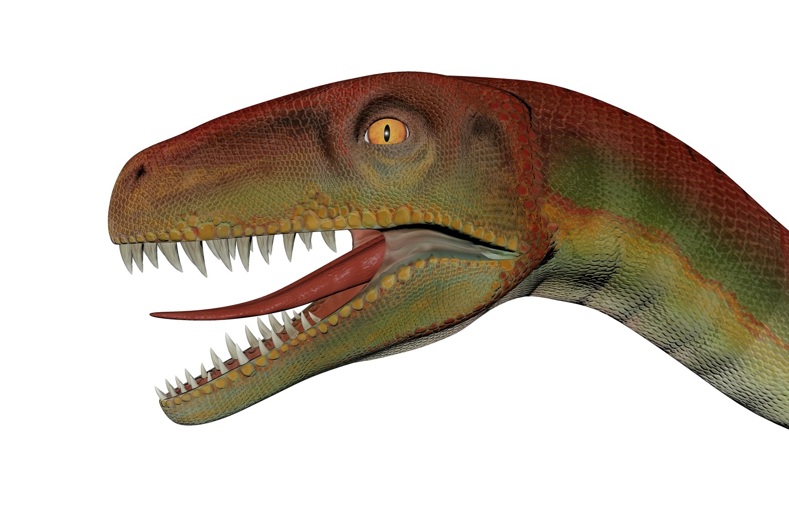 Caseosaurus Dinosaur Triassic Animal Model - TurboSquid 2332189