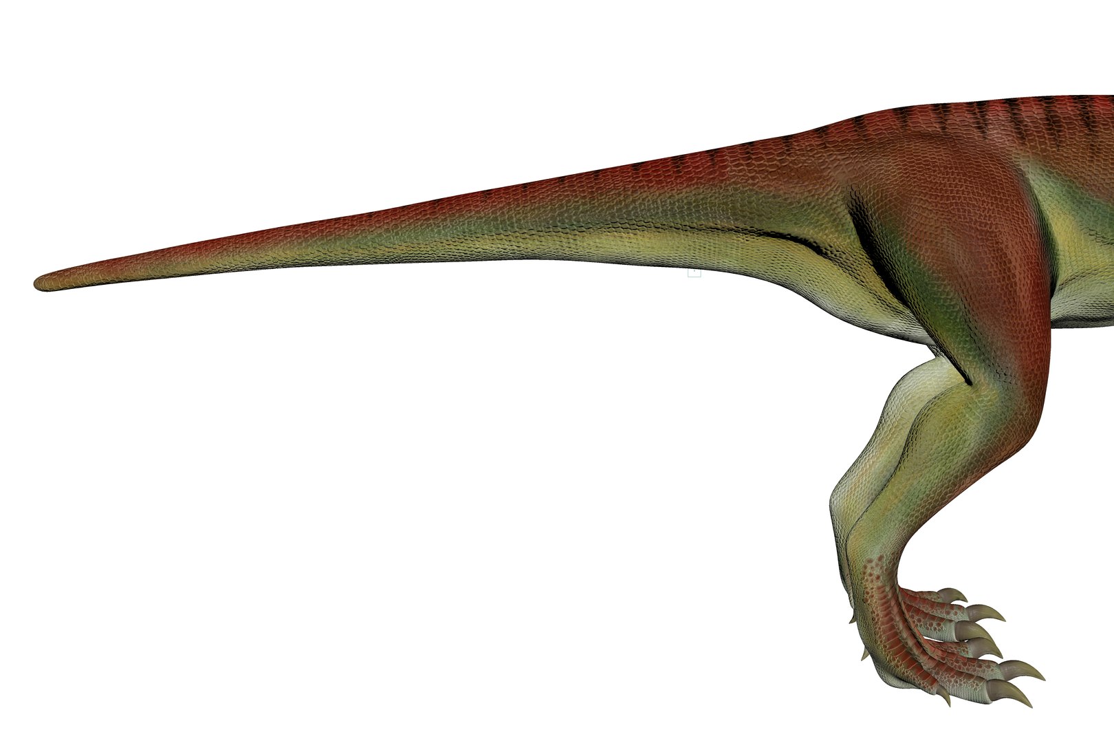 Caseosaurus Dinosaur Triassic Animal Model - TurboSquid 2332189