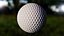 Escena de pelota de golf