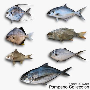 3D Pompano Collection