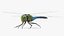 Dragonfly Rigged for Cinema 4D 3D