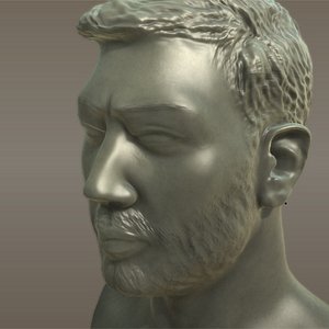 Male Head with Beard