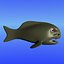 pesce medio