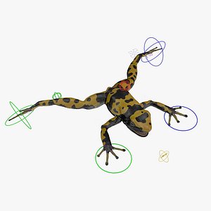 Poison Dart Frog Yellow Rigged