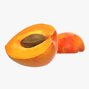 3d apricot cross section 3