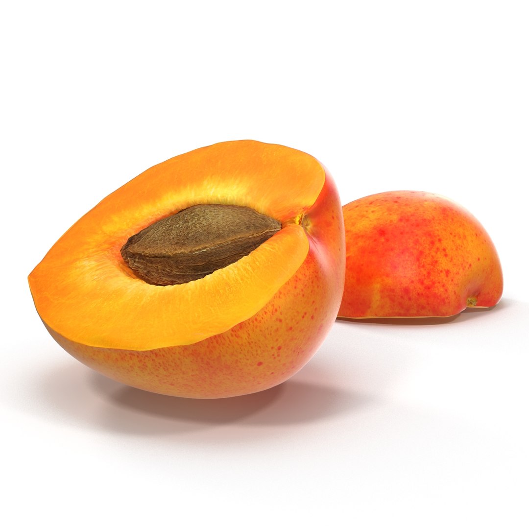 Apricot Cross Section 3 3D Model preview
