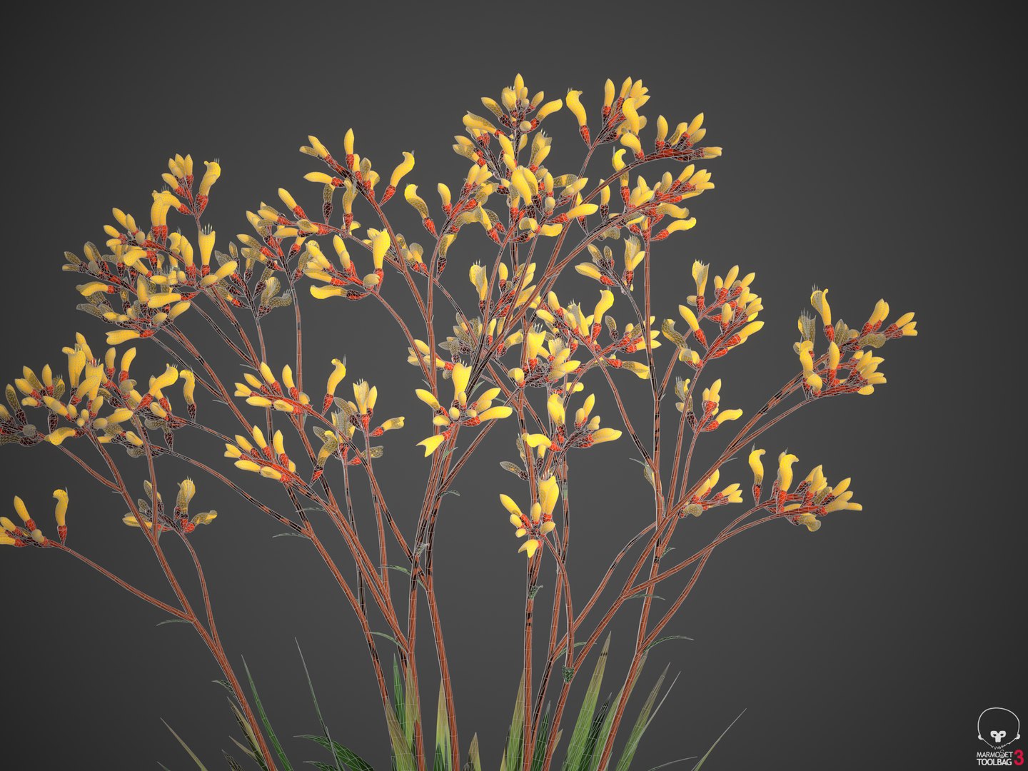 3D XfrogPlants Kangaroo Paw - Anigozanthos flavidus model https://p.turbosquid.com/ts-thumb/kG/RupVJP/24/screenshot006/png/1618955937/1920x1080/fit_q87/f23d2bd02eaf4a111e473fd72fd769c222b03d1f/screenshot006.jpg