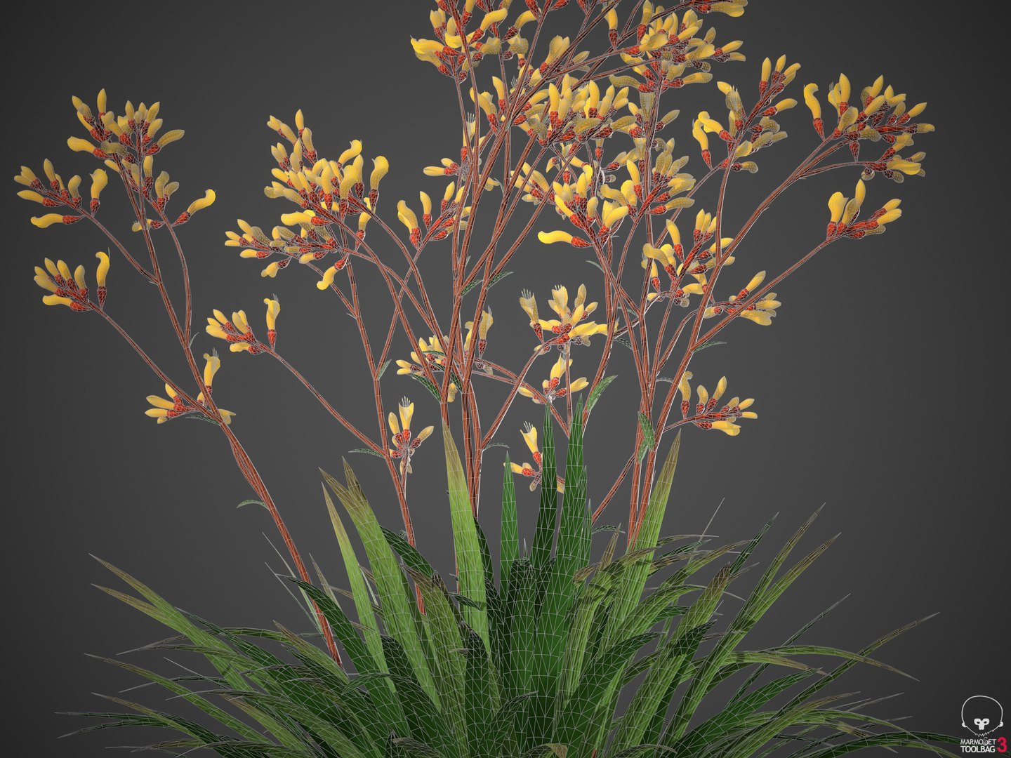 3D XfrogPlants Kangaroo Paw - Anigozanthos flavidus model https://p.turbosquid.com/ts-thumb/kG/RupVJP/6o/screenshot009/png/1618955945/1920x1080/fit_q87/6d990f3e205b84a2d6014bbfef7c68fc9059b630/screenshot009.jpg