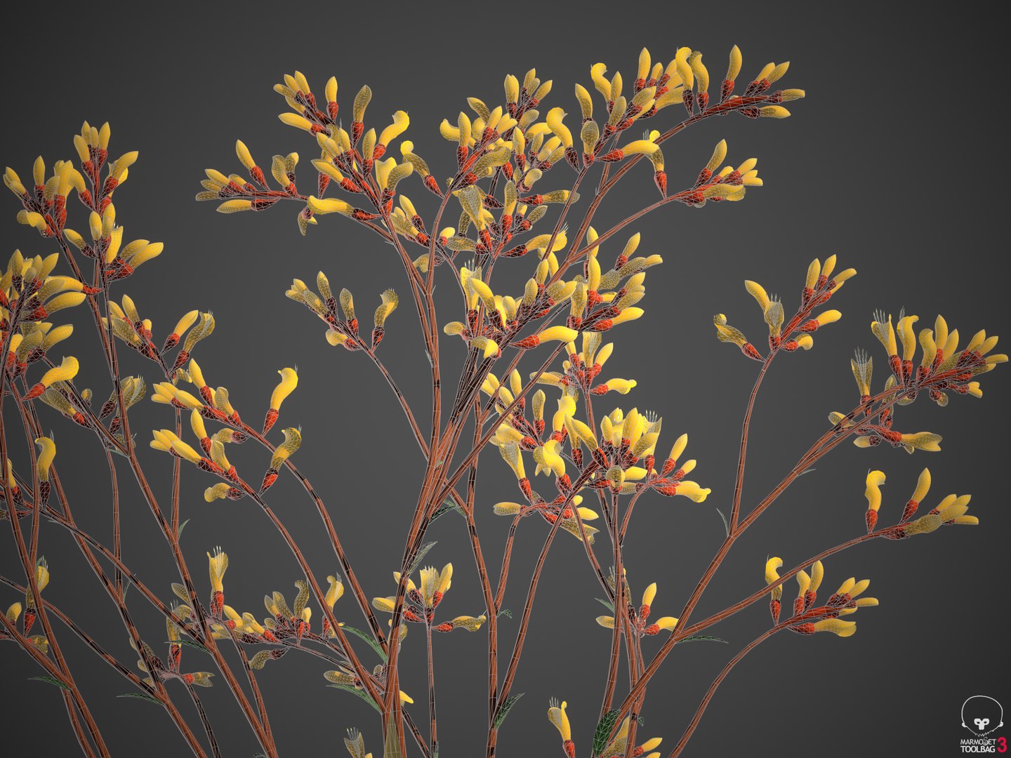 3D XfrogPlants Kangaroo Paw - Anigozanthos flavidus model https://p.turbosquid.com/ts-thumb/kG/RupVJP/aW/screenshot007/png/1618955941/1920x1080/fit_q87/3f2ed7ade4e5316926681fdd725ea8379a404214/screenshot007.jpg
