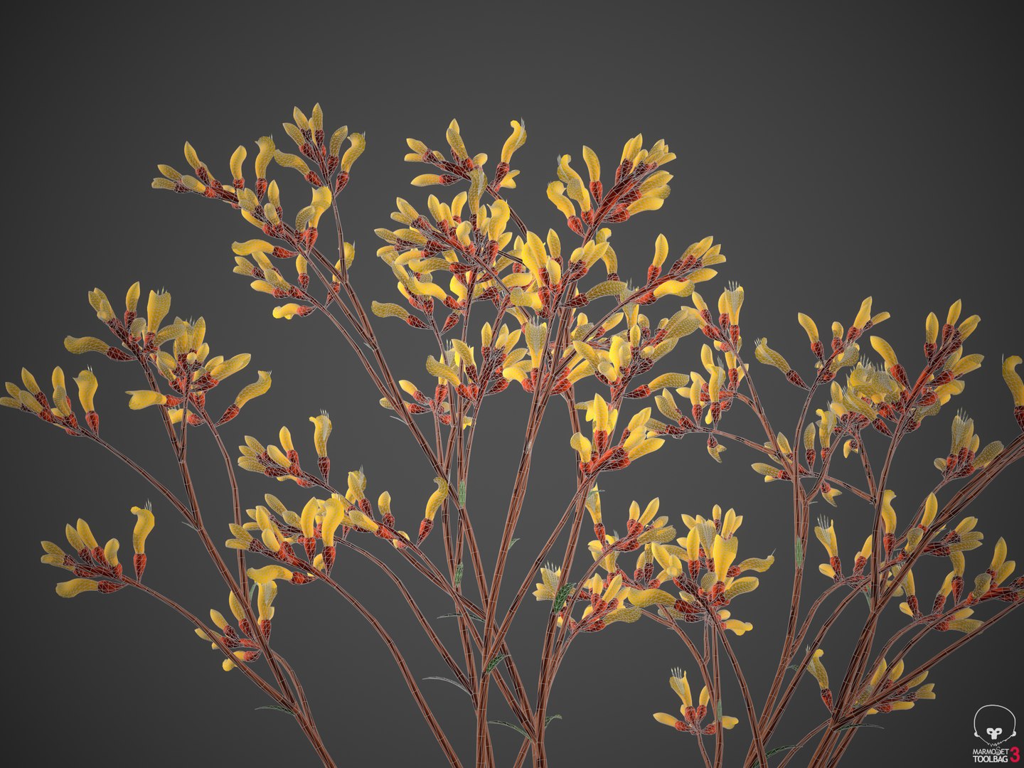 3D XfrogPlants Kangaroo Paw - Anigozanthos flavidus model https://p.turbosquid.com/ts-thumb/kG/RupVJP/s4/screenshot008/png/1618955937/1920x1080/fit_q87/6b9a62403abc5683ec6c7f56b7498b8692dc8cee/screenshot008.jpg
