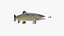 3D fish lures trout salmon