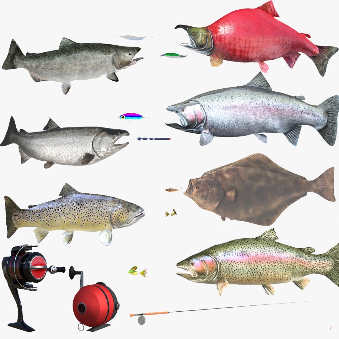 3D fish lures trout salmon https://p.turbosquid.com/ts-thumb/kG/XCpOfF/gH/fishcollection_01/jpg/1613894213/1920x1080/fit_q87/c1fc543d2c1cf432c6cc90a3ed8a2024a1b4ab36/fishcollection_01.jpg