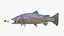 3D fish lures trout salmon