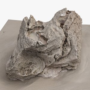 Rock 3D Scan 23