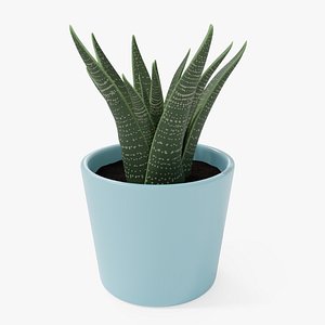 decorative plant pot 3D model