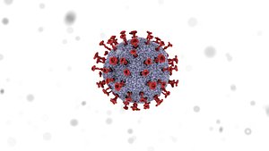 Corona Virus Animated