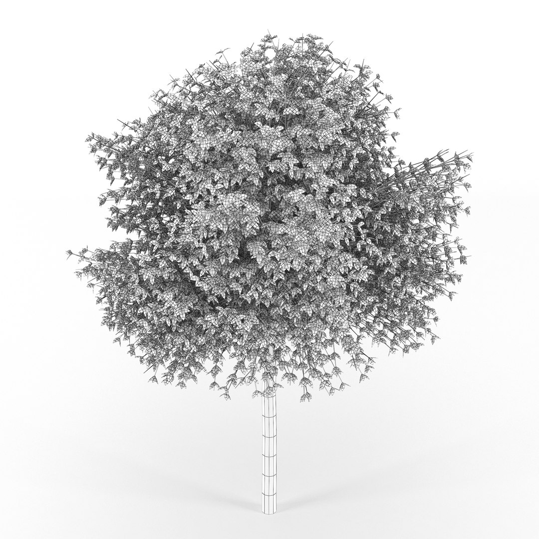 3D Hibiscus - TurboSquid 1321156