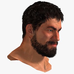 Human Head Set 5