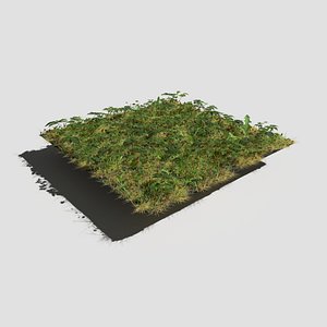 3D ashweed meadow patch model