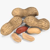 Peanut Seeds