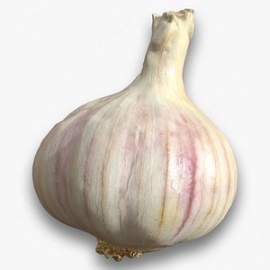 3D Garlic model