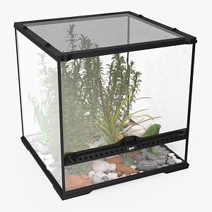 Small Cubic Terrarium with Plants and Iguana