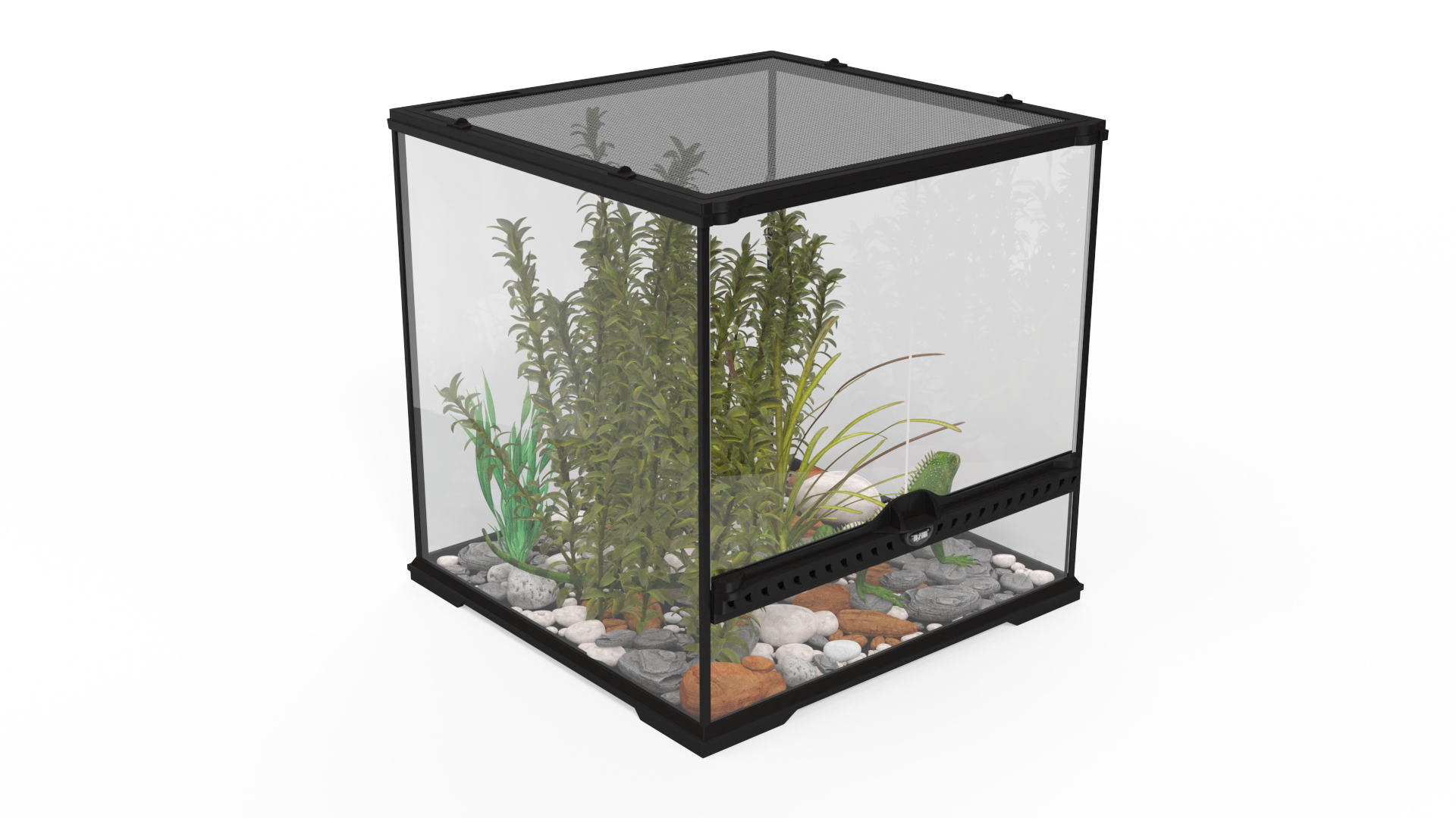Small Cubic Terrarium with Plants and Iguana model - TurboSquid 2146440