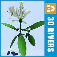 Honeysuckle by 3DRivers
