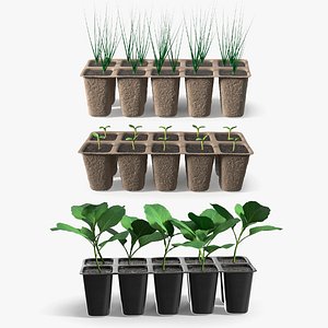 Seedling Collection 3D