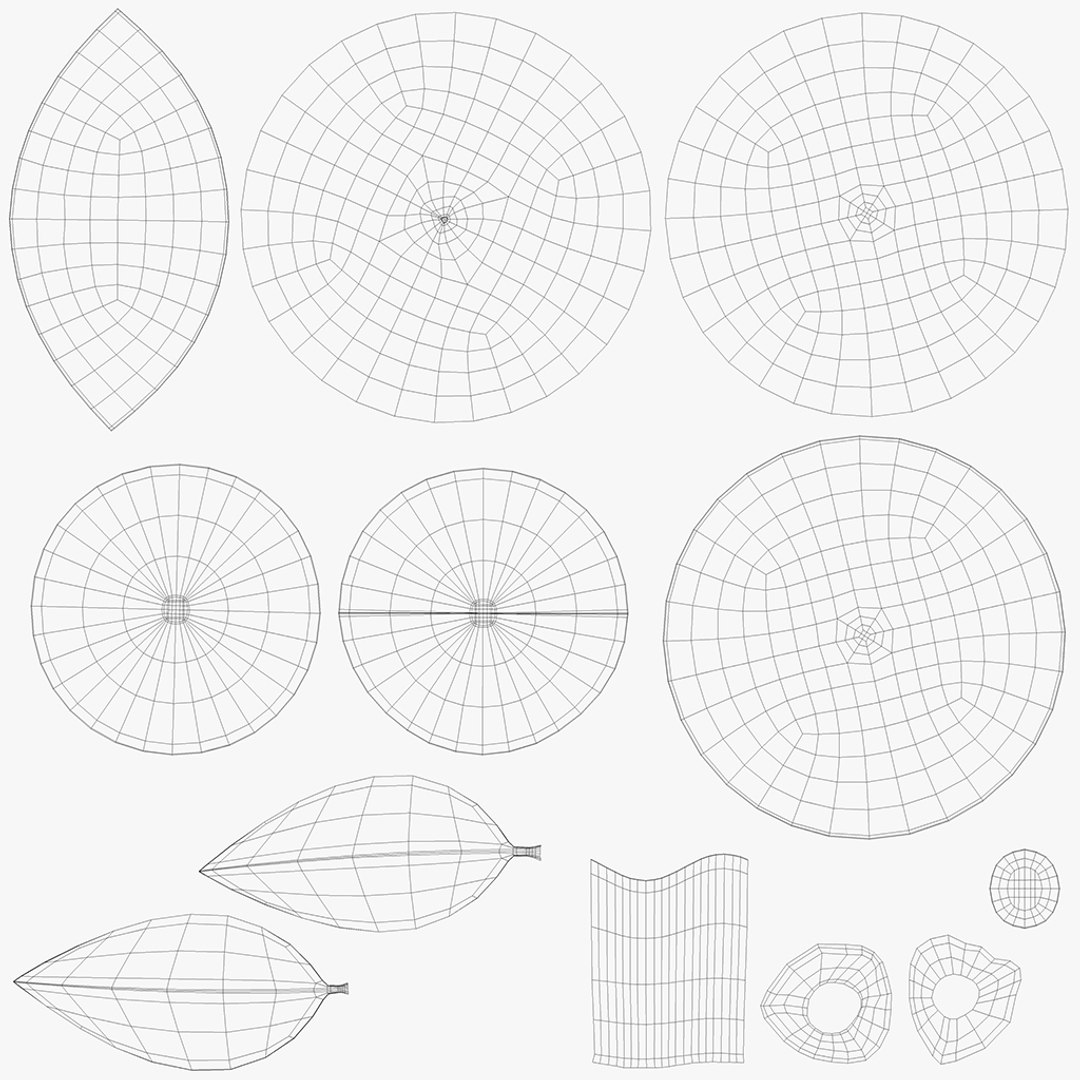 3D Fruits And Vegetables Collection https://p.turbosquid.com/ts-thumb/kI/5an4OJ/Bi/orange0110/jpg/1727710766/1920x1080/fit_q87/8624f8dc897f0f429b2fd4132f32a2f6de00c821/orange0110.jpg