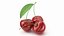 Fruits And Vegetables Collection