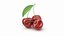 Fruits And Vegetables Collection