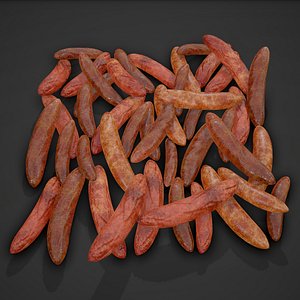 3D sausage food meats