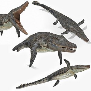 3D Mosasaurus Rex - 8K animated