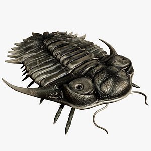 reproduction - trilobite kayserops 3D model