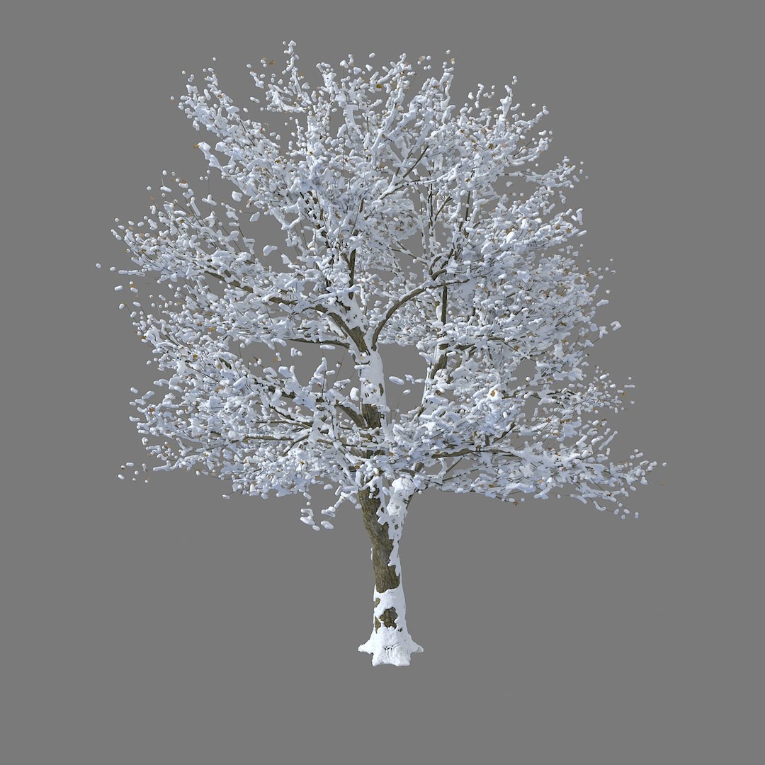 snow trees max