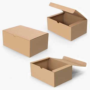 Cardboard Box Packages model