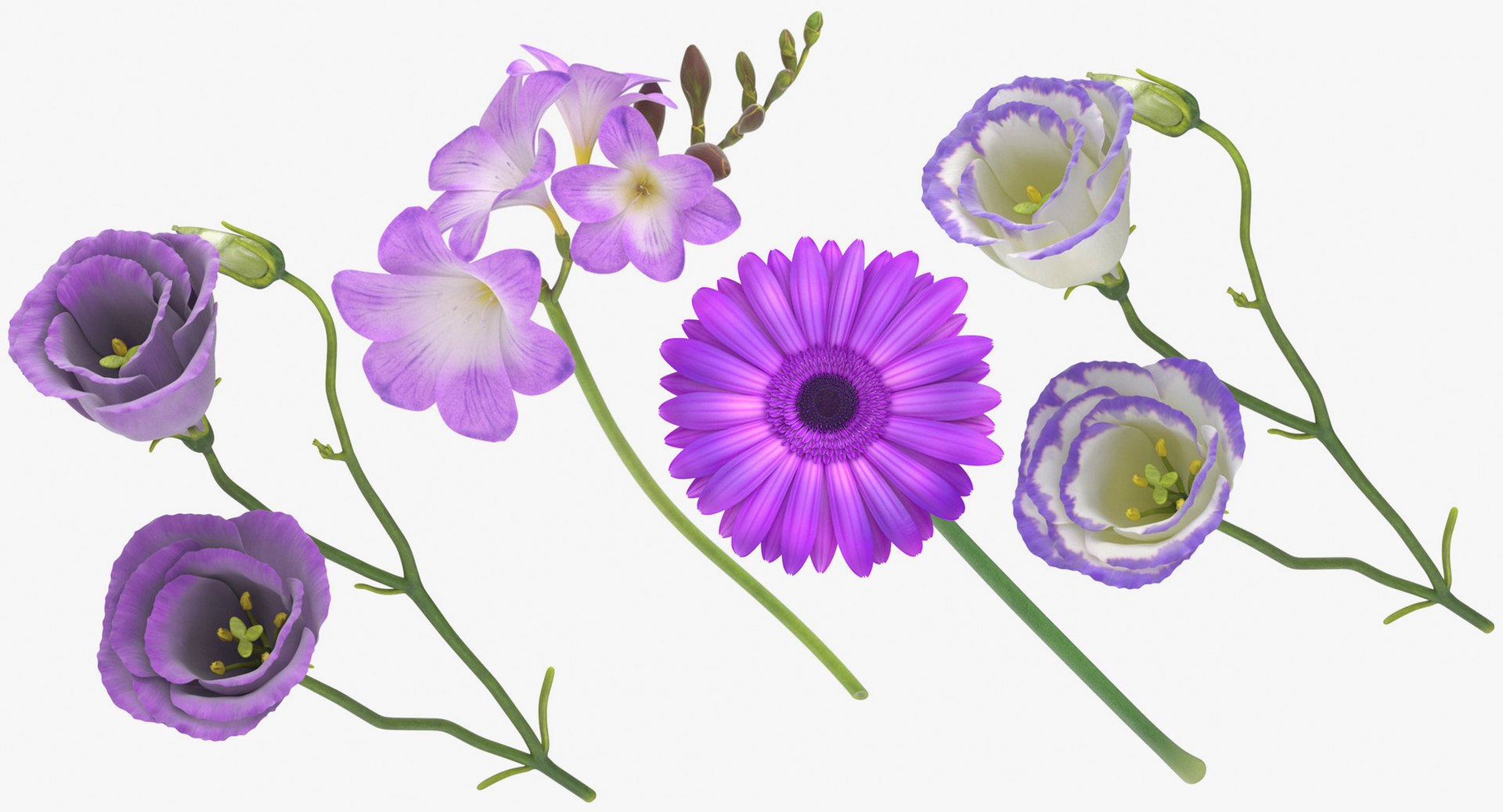 purple floral set 01 3D model https://p.turbosquid.com/ts-thumb/kI/ZeXBUZ/5IabpzLA/purple_floral_set_group_thumbnail_01/jpg/1569501036/1920x1080/fit_q87/a3dbb0be7bc9e9f3decbf963635f7152f1de70f6/purple_floral_set_group_thumbnail_01.jpg