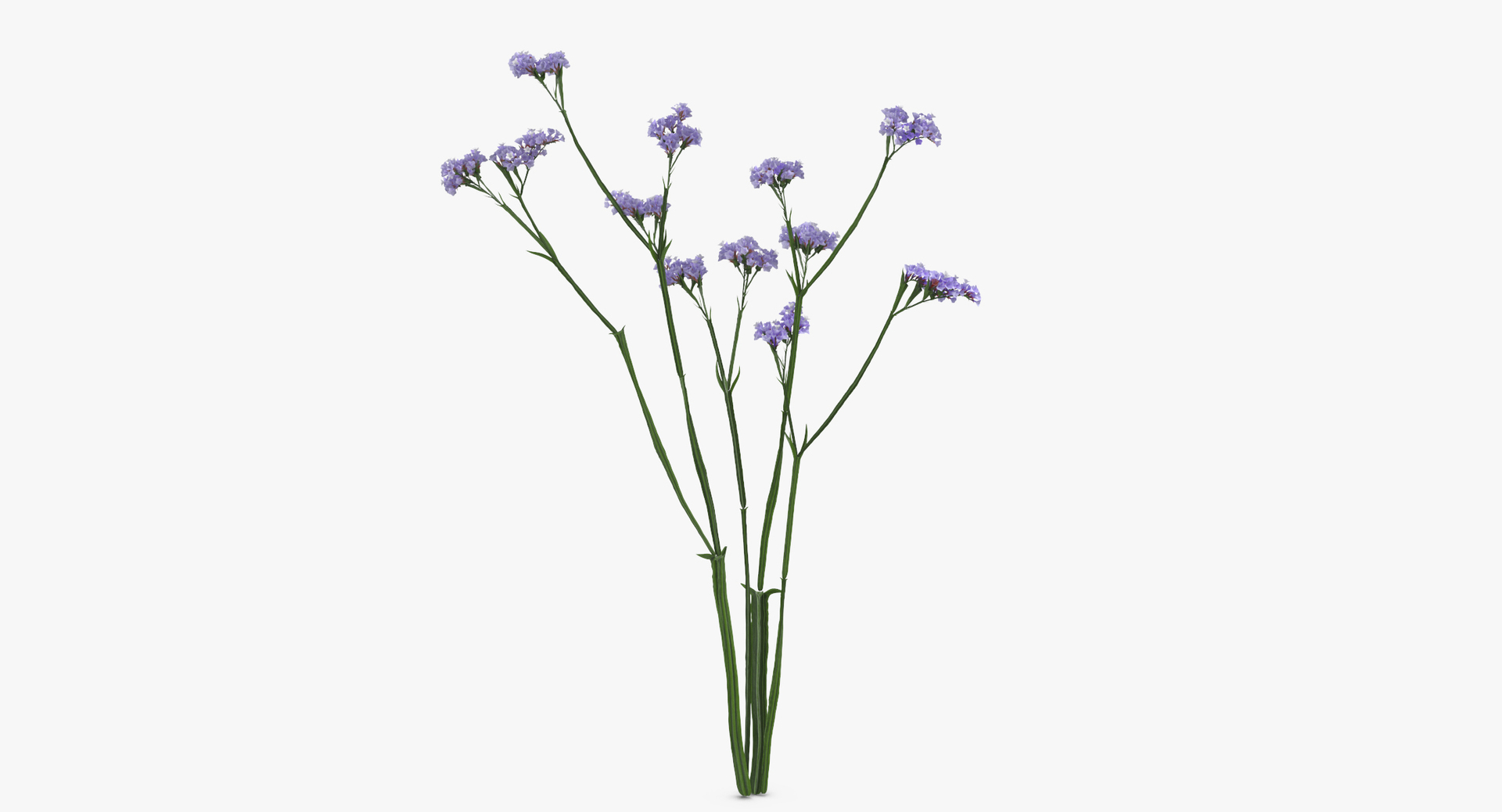 purple floral set 01 3D model https://p.turbosquid.com/ts-thumb/kI/ZeXBUZ/9QqeJ5qd/0000/jpg/1569504266/1920x1080/turn_fit_q99/c8a70f1cf2cf83b35119d14ecf803b0a9b2e8d52/0000-1.jpg