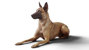 3D German Shepherd Dog