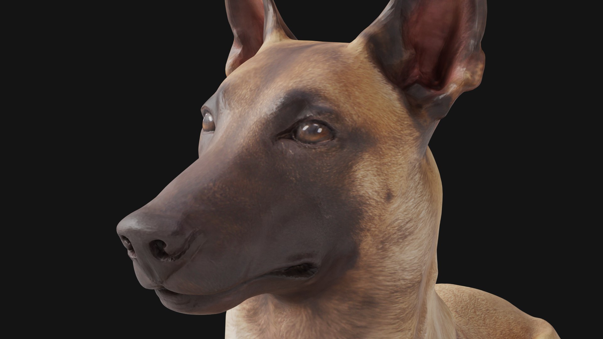 3D German Shepherd Dog - TurboSquid 1956713