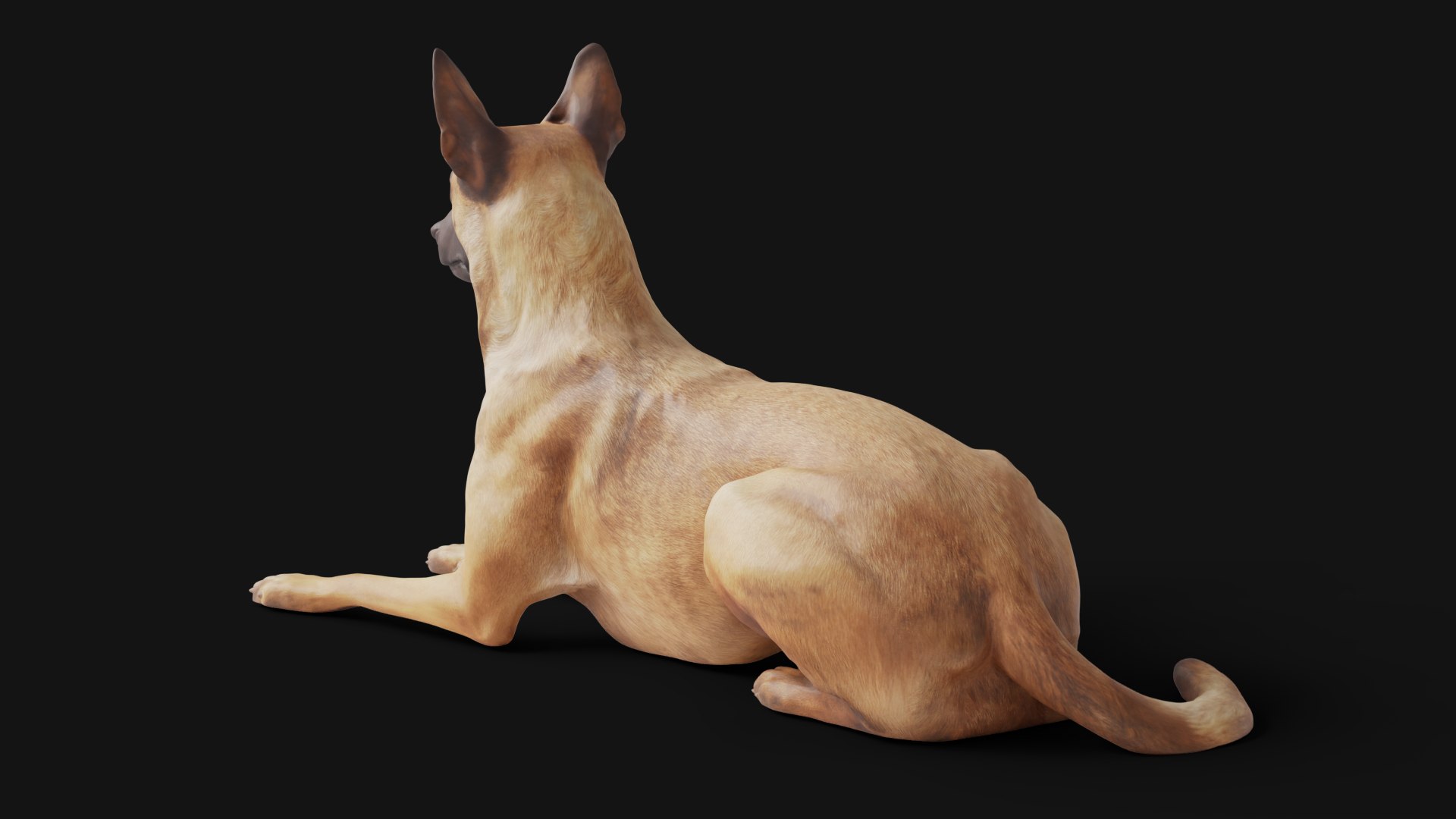 3D German Shepherd Dog - TurboSquid 1956713