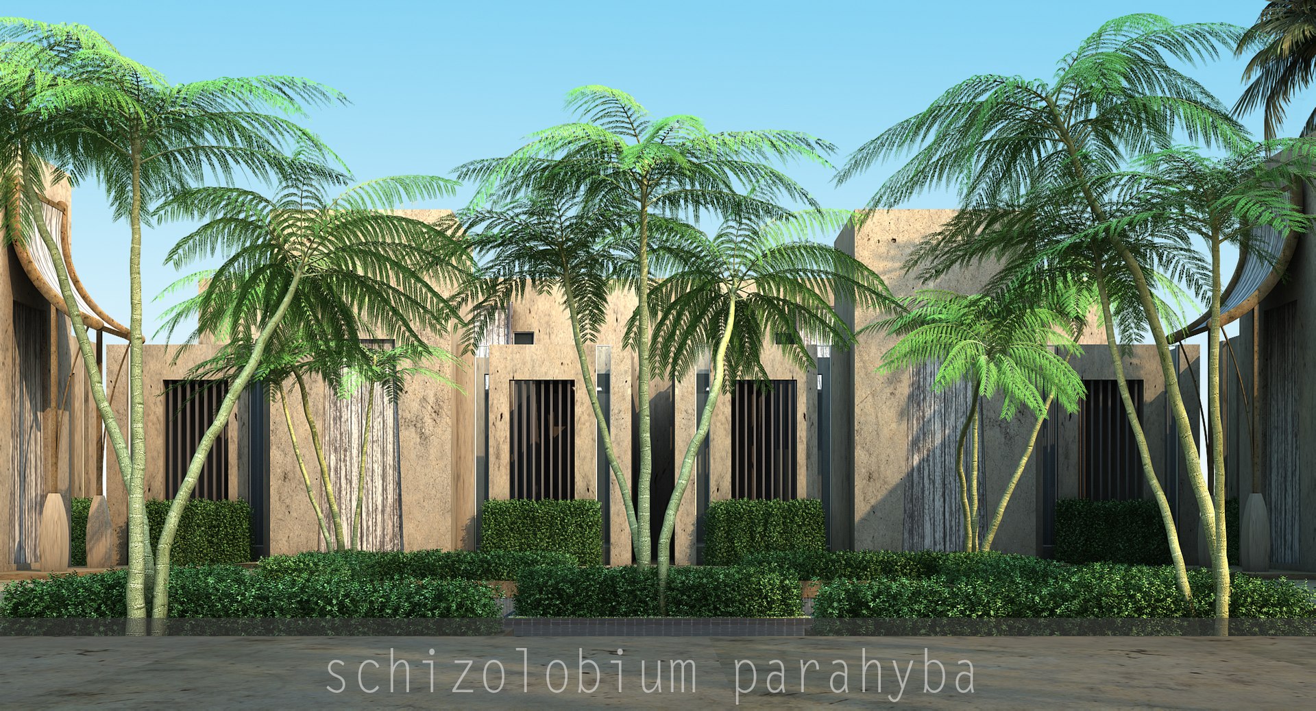 3d model schizolobium parahyba https://p.turbosquid.com/ts-thumb/kI/qCCWZK/Qc5BSVbX/schizolobiumparahyba_00/jpg/1471356644/1920x1080/fit_q87/3ac8ab2590fb4efd356bc9332b8e671854a8c80d/schizolobiumparahyba_00.jpg