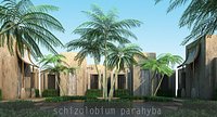 schizolobium parahyba